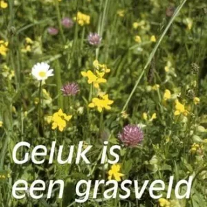 Actieprijs Geluk is een grasveld (e-book)