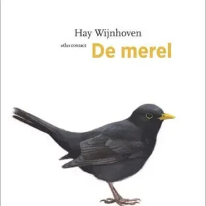 Veilige Betaling De merel (e-book)