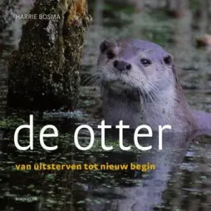 Veilige Betaling De otter