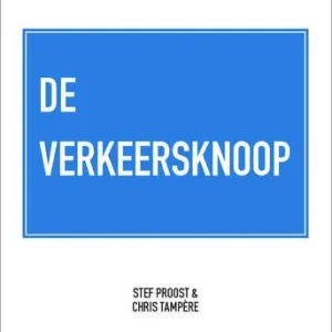 Wat met de verkeersknoop? (e-book) Express Levering