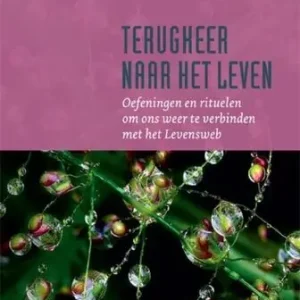 Weekendaanbieding Terugkeer naar het leven