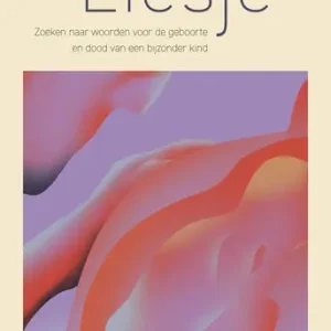 Veilige Betaling Liesje (e-book)