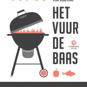 Alleen Vandaag Het vuur de baas (e-book)