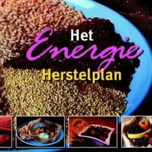 Uitverkoop Het Energie Herstelplan