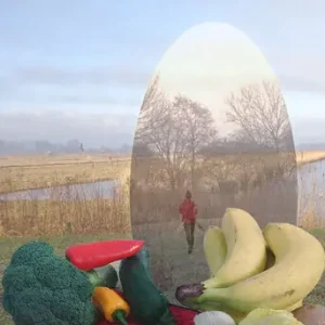 Ziekte voorkomen door extra opletten (e-book) Koopje