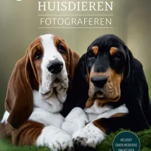 Populair Huisdieren fotograferen