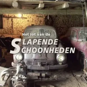 Weekendaanbieding Het lot van de slapende schoonheden