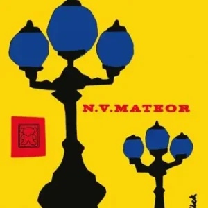 Alleen Vandaag De N.V. Mateor (e-book)