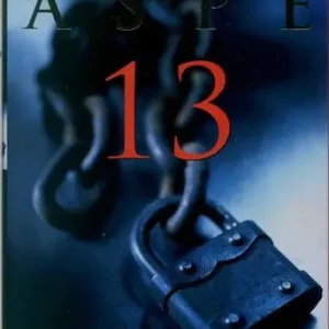 Aanbieding 13 (e-book)