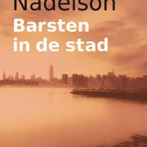 Barsten in de stad (e-book) Laatste Kans