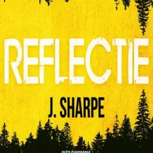 Aanbieding Reflectie