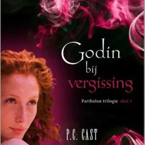 Actieprijs Godin bij vergissing (e-book)