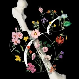 Beste Prijs Graphis Design Annual 2025