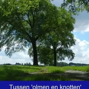 Bestel Nu Tussen 'olmen en knotten'