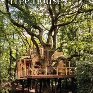 Beperkte Voorraad Tree Houses