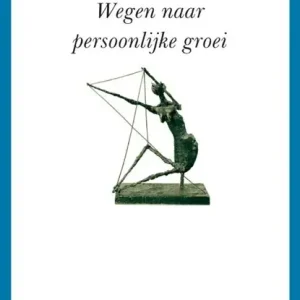 Zelfanalyse Tijdelijk Beschikbaar