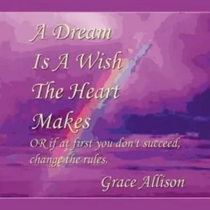 Goedkoop A Dream Is A Wish The Heart Makes Or If At First You Don't Succeed, Change The Rules
