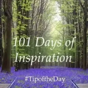 101 Days of Inspiration Voordeelprijs
