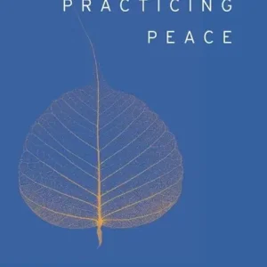 Actieprijs Practicing Peace