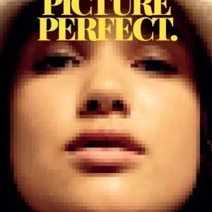 Actieprijs Picture perfect