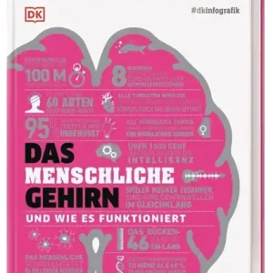 #dkinfografik. Das menschliche Gehirn und wie es funktioniert Betaalbaar