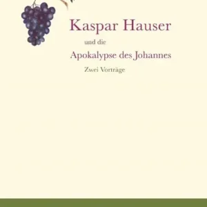 Kaspar Hauser und die Apokalypse des Johannes Koopje
