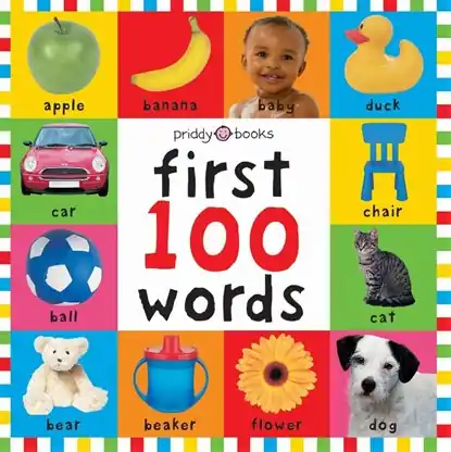 Aanbieding First 100 Words