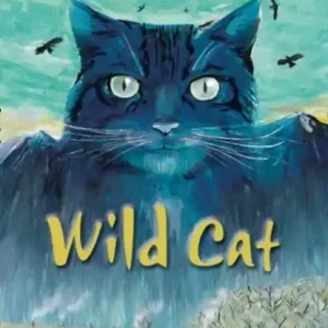 Wild Cat Rechtstreeks Van De Fabrikant