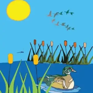 Populair Trip To The Pond Chapter Book