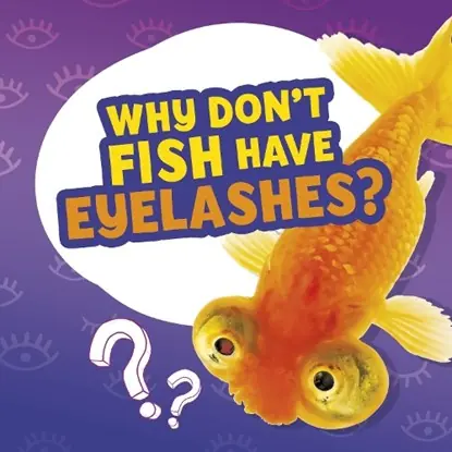 Why Don't Fish Have Eyelashes? Populair